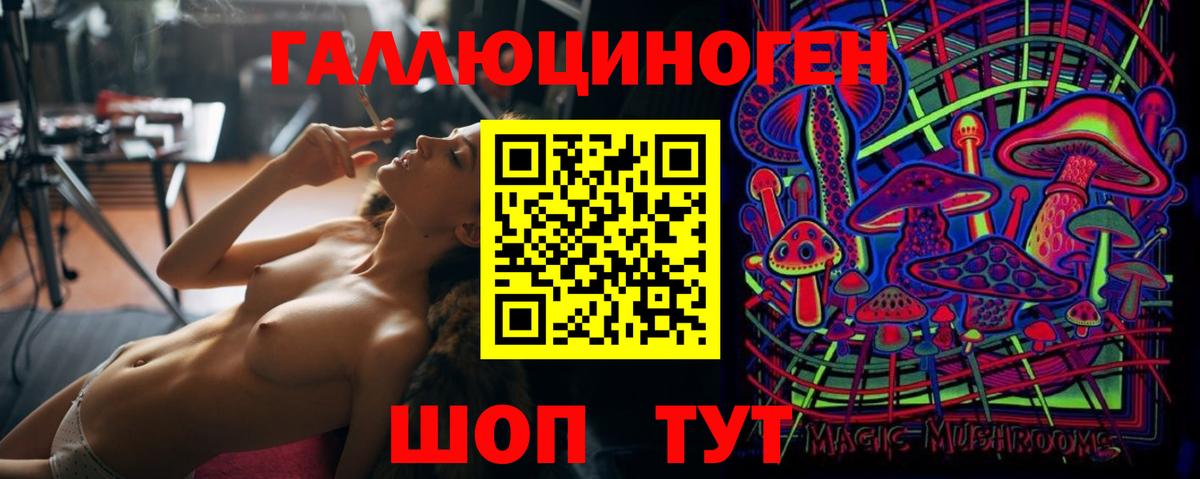 Галлюциногенные грибы Psilocybine cubensis Азов
